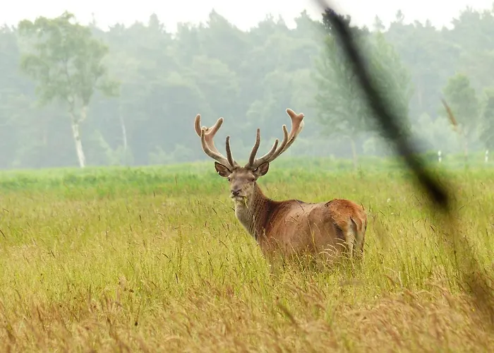 Feriehus Strandweg 6